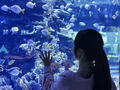 -左海海底世界