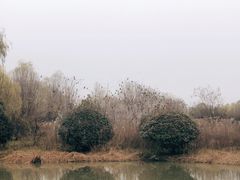 -西安浐灞国家湿地公园