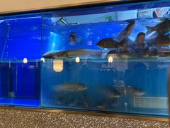 -顺峰顺水顺德菜(第一百货店)
