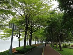 -顺峰山公园