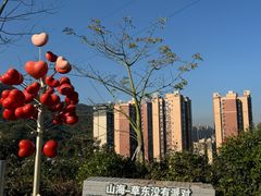 -攀枝花公园