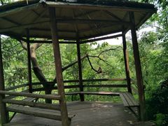 -重庆雨台山风景区