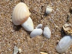 -嵊泗基湖沙滩
