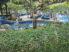 -渔家火锅·海鲜自助餐·演艺(亚龙湾天域酒店)