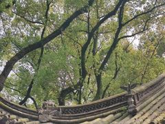 -天一阁博物院