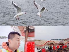 -包头南海湿地景区