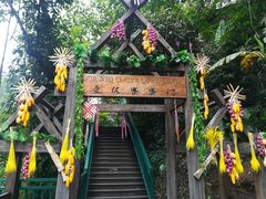 -西双版纳原始森林公园