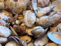-浩运·海鲜青岛菜·海胆水饺(石老人店)