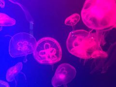 -成都浩海立方海洋公园