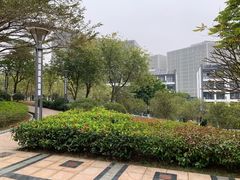 -广州国际生物岛山地公园揽胜园