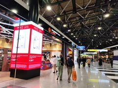 -谢列梅捷沃国际机场