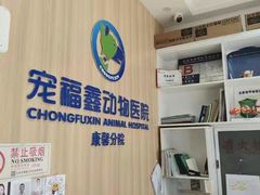 -宠福鑫康馨动物医院·骨科·眼科