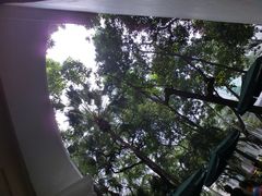 外景-星巴克臻选(广州沙面店)