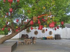 -同里国家湿地公园
