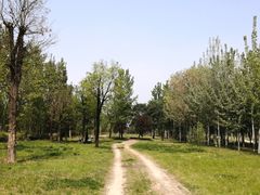 -汉长安城未央宫国家考古遗址公园