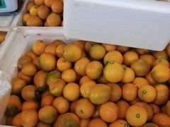 -南坛综合农贸市场