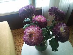 DSC_0196-上海新发展亚太JW万豪酒店