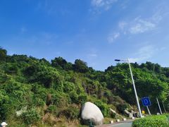 -火炉山森林公园