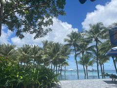 -富国岛翡翠湾 JW 万豪度假酒店