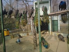 -月亮河温泉度假酒店