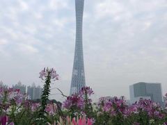 -珠江夜游广州塔·中大码头