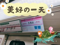 -大龙山(地铁站)