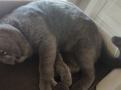 -Me Coffee下午茶艺术空间