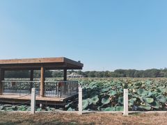 -廊坊市自然公园