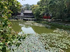 -深圳国际园林花卉博览园