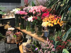 -植物学家的女儿(北马道巷店)