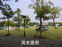 -上海吴淞炮台湾国家湿地公园