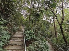 -长安公园