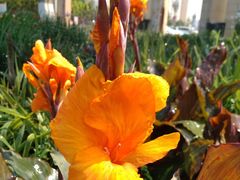 -DQ·蛋糕·冰淇淋(海伦国际店)