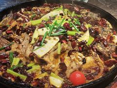 -老板恋上鱼(恒隆广场店)