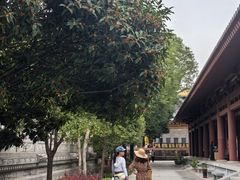 -西安大兴善寺