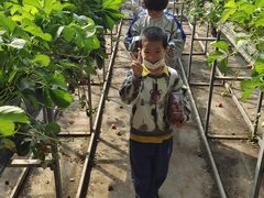 -世纪飞马幼儿园(西城校区)