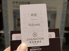 -南京金丝利喜来登酒店