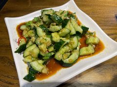 欠揍的黄瓜-探牛东北烧烤·铁锅炖大鹅(深圳总店)