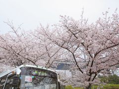 -上海南浦大桥长途旅游客运站