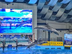 -合肥海洋世界