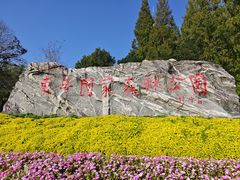 -东平国家森林公园