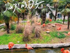 -李东农庄(中南百草园地标店)