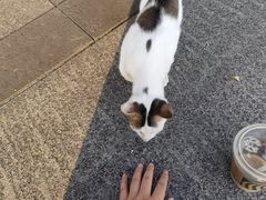 -星巴克(深圳音乐厅店)