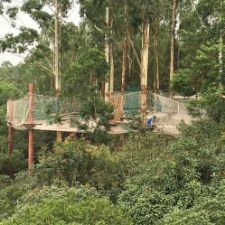 -成都飞越丛林(锦绣城园区)