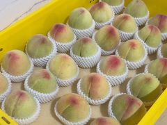 -老袁家蜜桃农场·阳山水蜜桃