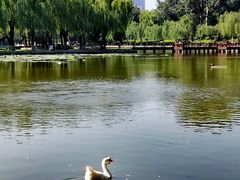 -中国农业博物馆