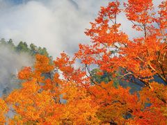 -光雾山旅游景区