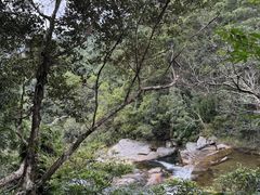 -海南热带雨林国家公园吊罗山景区
