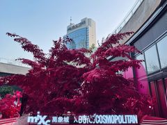 -石家庄万象城