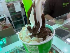 -Salud撒露欧洲冻酸奶(五道口购物中心店)